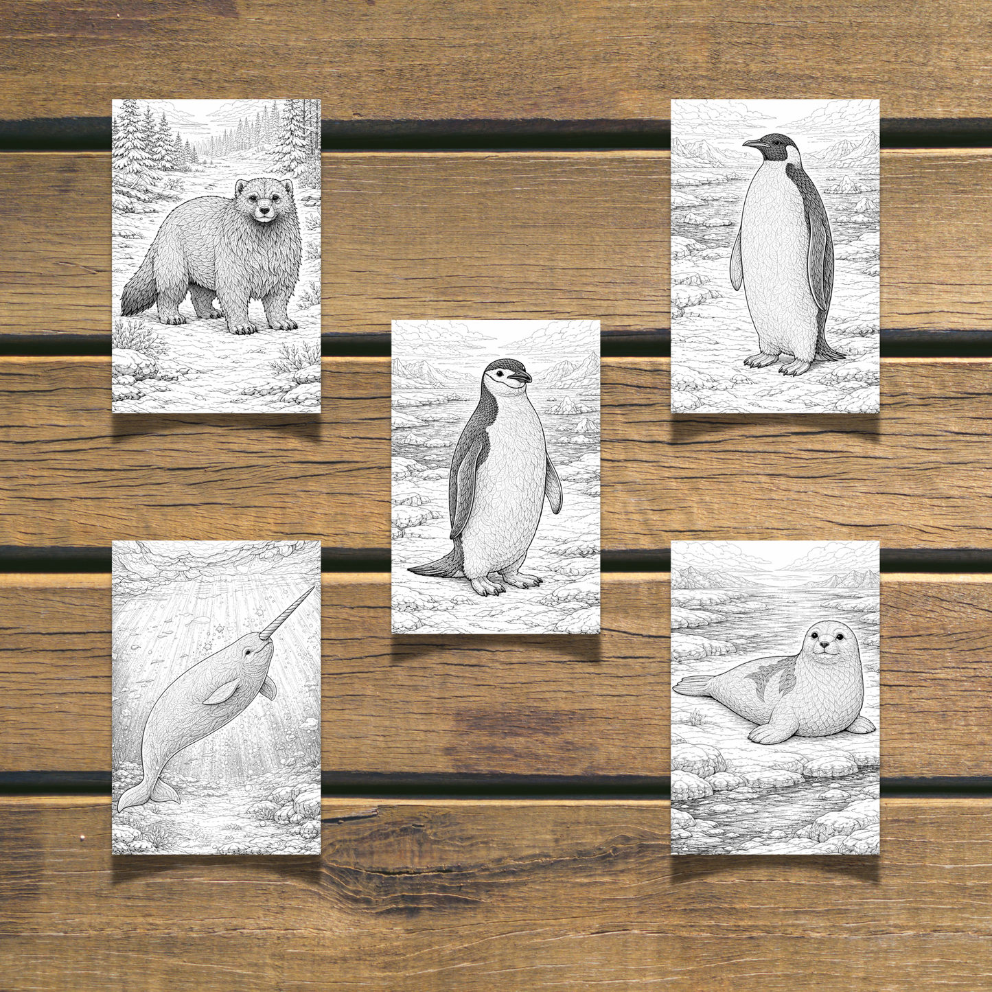 Winter Animals Coloring Book 20 coloring Pages digital download