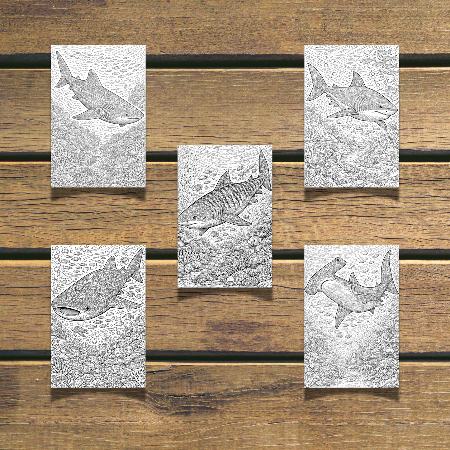 Big Sharks Coloring Book 20 coloring Pages digital download