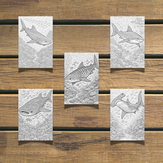 Big Sharks Coloring Book 20 coloring Pages digital download