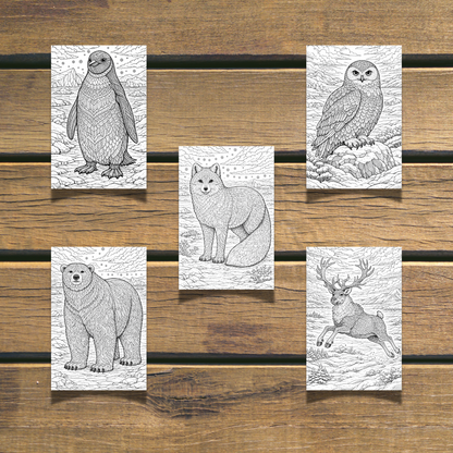 Winter Animals Coloring Book 20 coloring Pages digital download