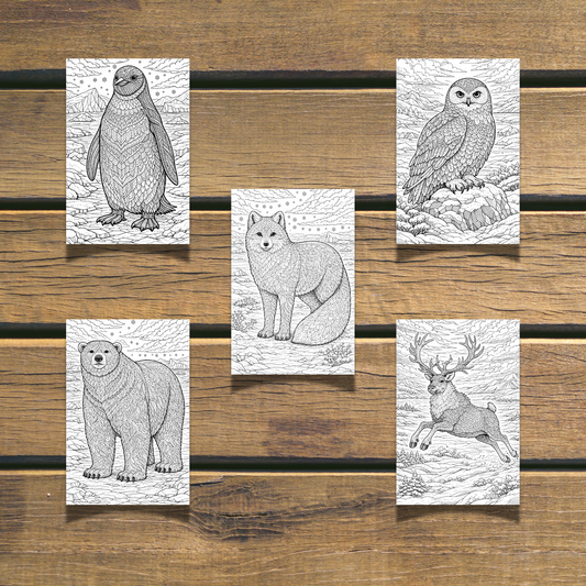 Winter Animals Coloring Book 20 coloring Pages digital download