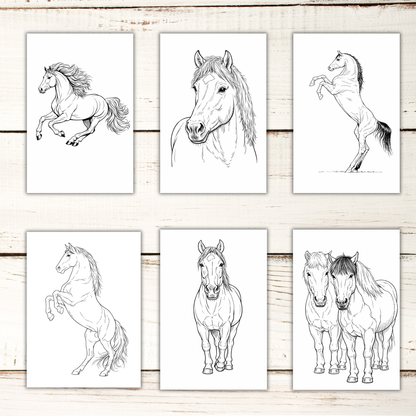 Horse Coloring Book – 50 Printable Pages for Adults & Kids | Digital Download PDF
