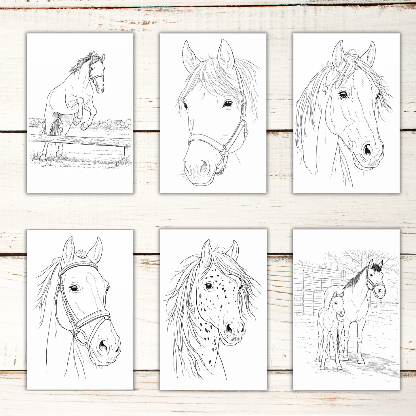 Horse Coloring Book – 50 Printable Pages for Adults & Kids | Digital Download PDF
