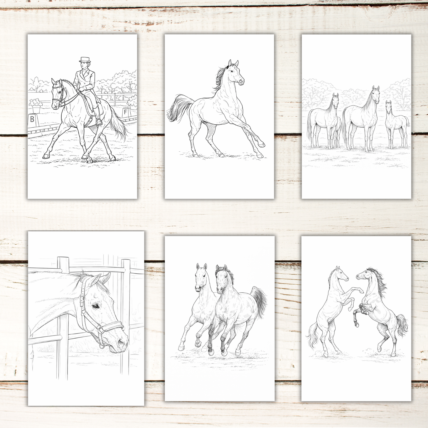 Horse Coloring Book – 50 Printable Pages for Adults & Kids | Digital Download PDF