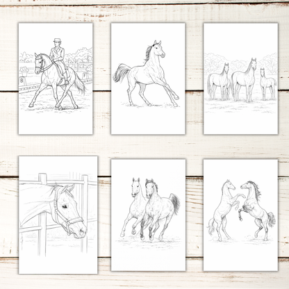 Horse Coloring Book – 50 Printable Pages for Adults & Kids | Digital Download PDF