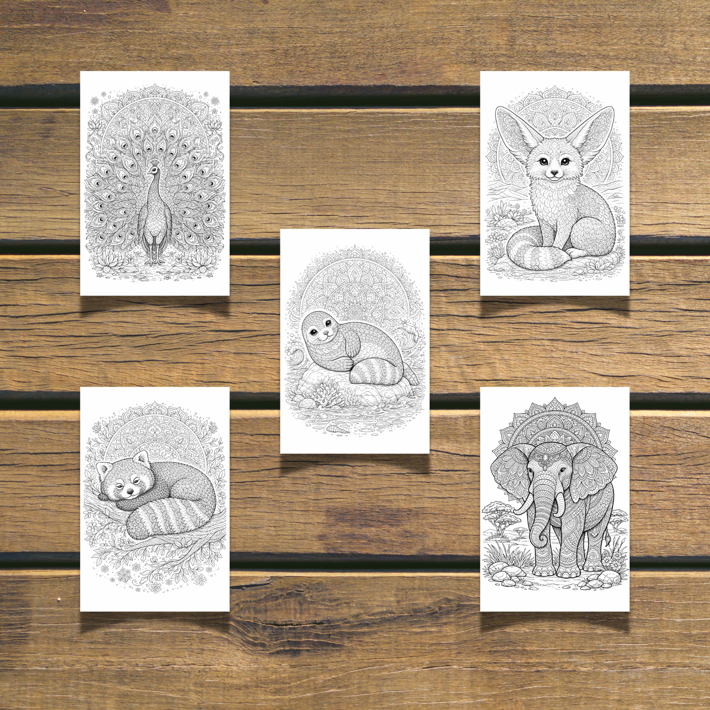 Cute Animals Coloring Book 20 Coloring Pages digital download