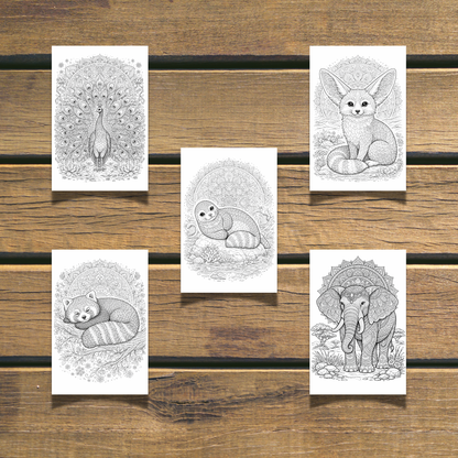Cute Animals Coloring Book 20 Coloring Pages digital download