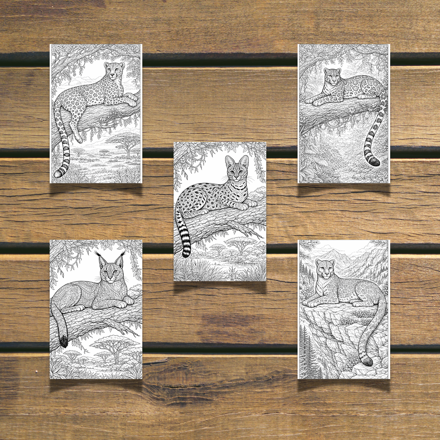 Wild Cats Coloring Book  20 coloring Pages digital download
