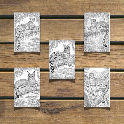 Wild Cats Coloring Book  20 coloring Pages digital download