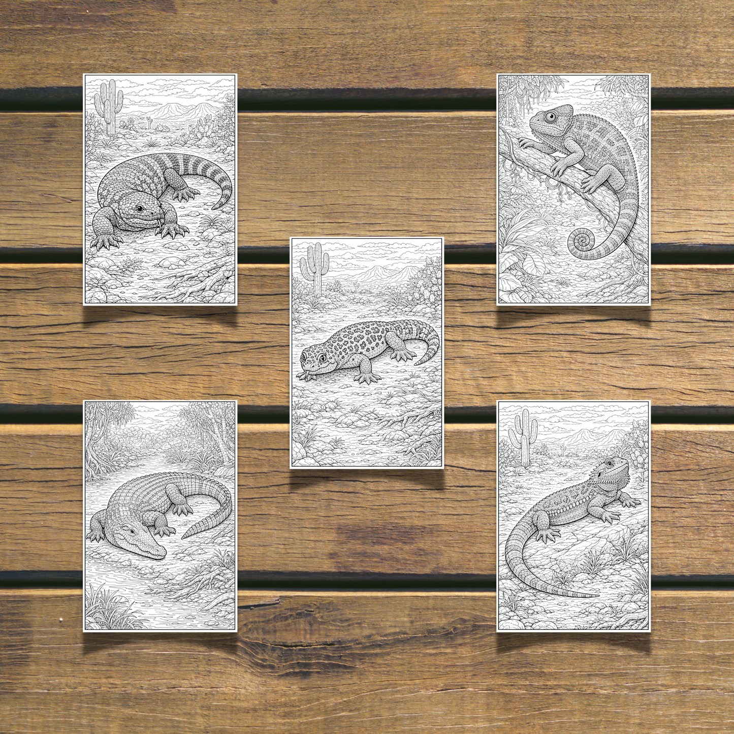 Reptiles Coloring Book 20 Coloring Pages digital download