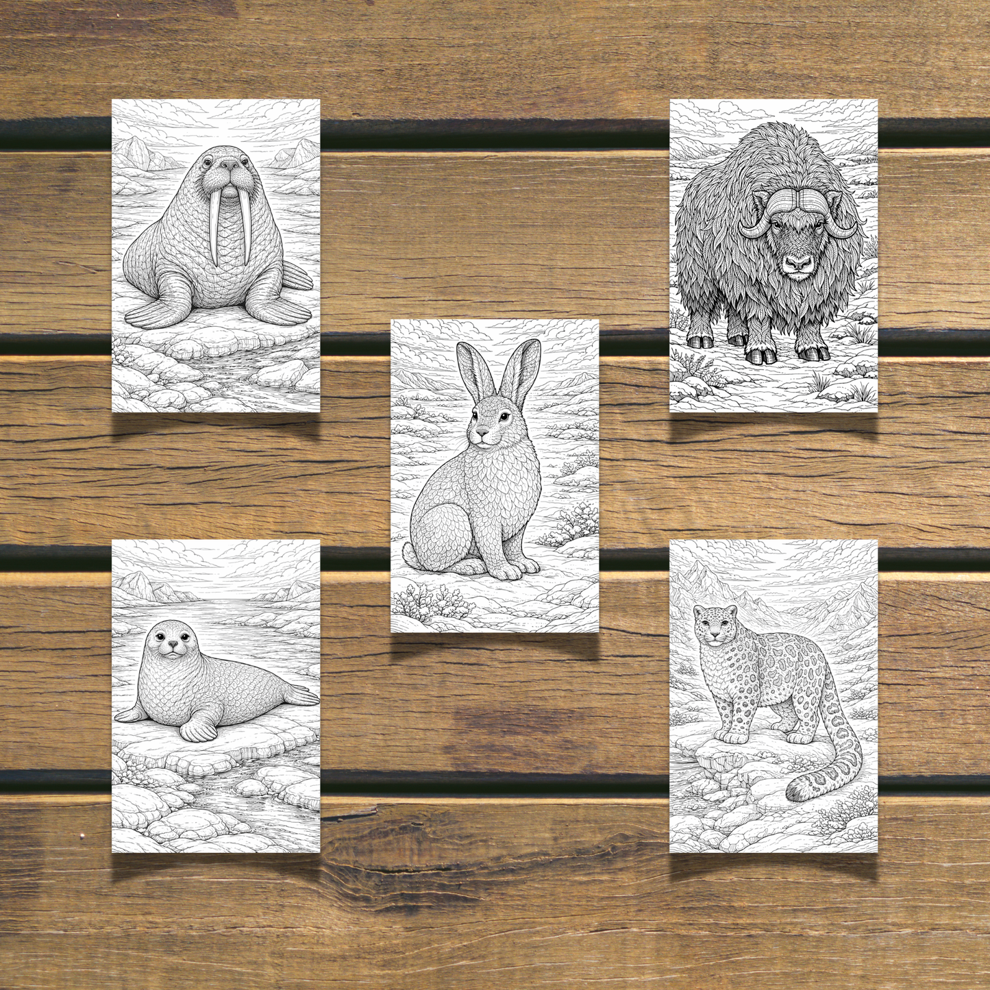 Winter Animals Coloring Book 20 coloring Pages digital download