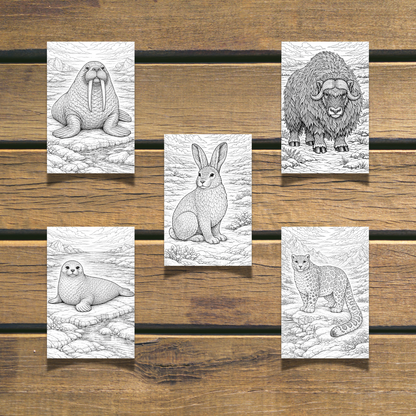 Winter Animals Coloring Book 20 coloring Pages digital download