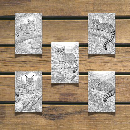 Wild Cats Coloring Book  20 coloring Pages digital download