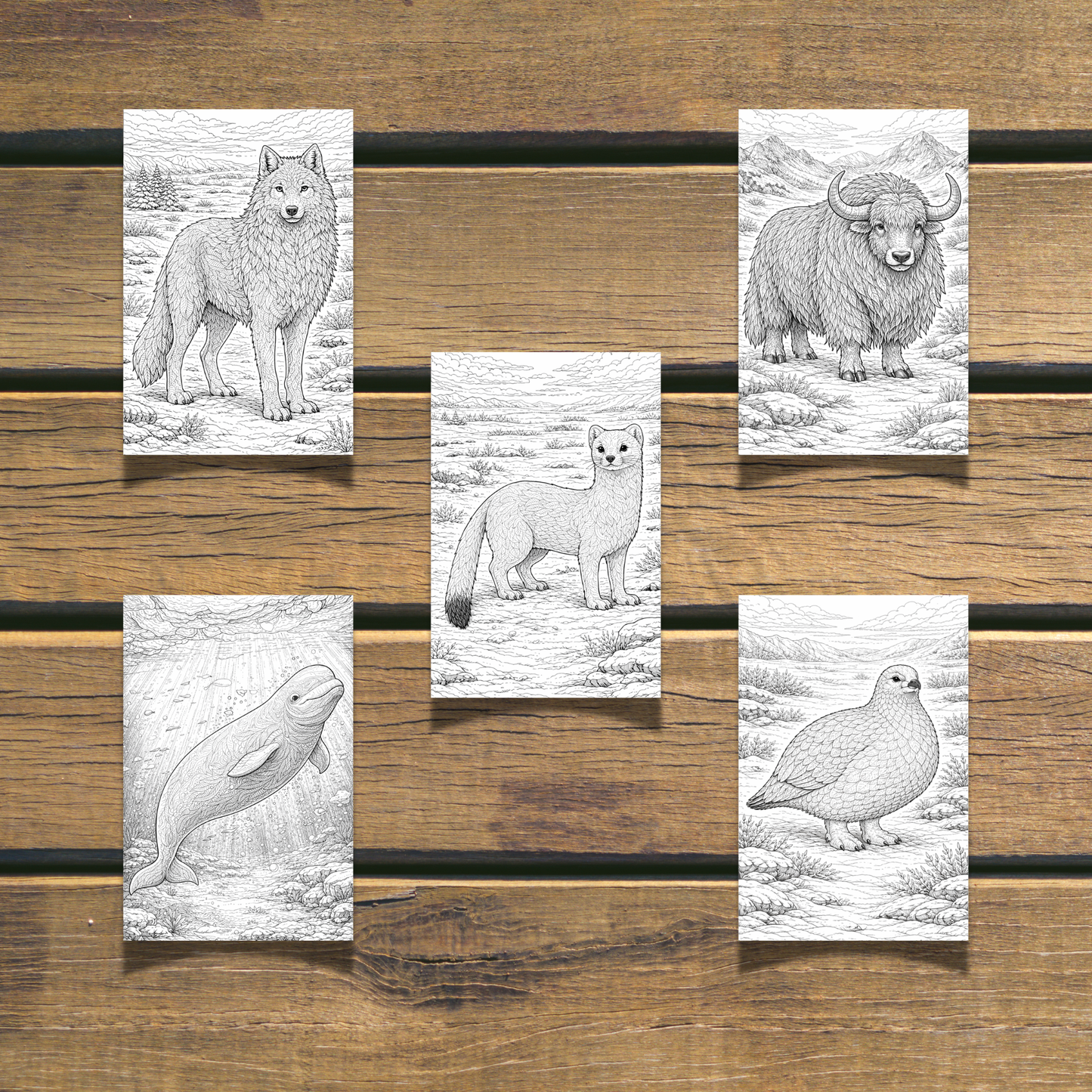 Winter Animals Coloring Book 20 coloring Pages digital download