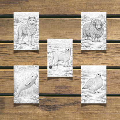 Winter Animals Coloring Book 20 coloring Pages digital download