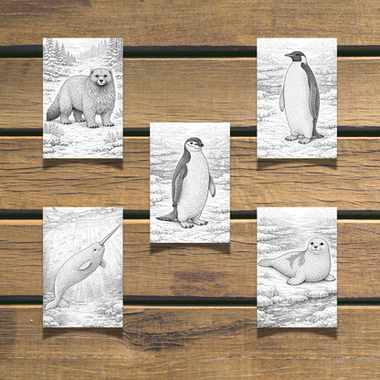 Winter Animals Coloring Book 20 coloring Pages digital download