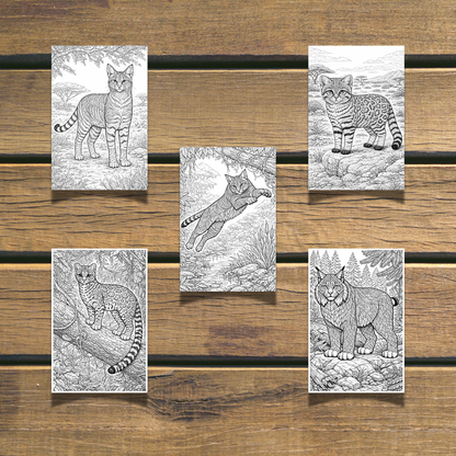 Wild Cats Coloring Book  20 coloring Pages digital download
