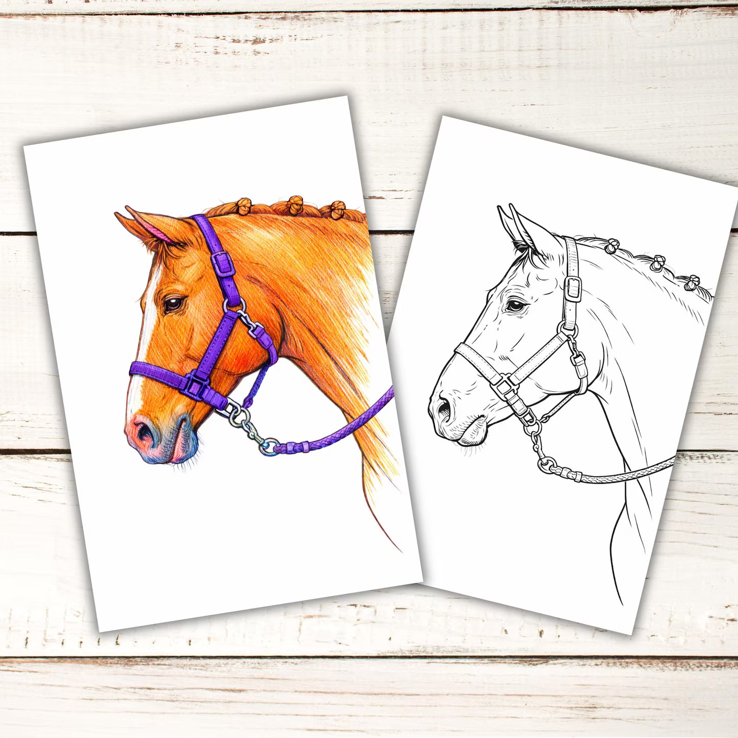 Horse Coloring Book – 50 Printable Pages for Adults & Kids | Digital Download PDF